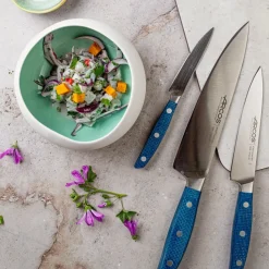 Coffret 3 Couteaux forgés Brooklyn