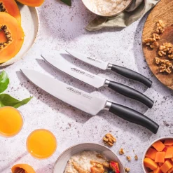 Coffret 3 Couteaux forgés Clara