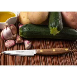 Couteau d'office Nórdika 100 mm