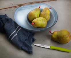 Couteau d'office Pistache Nova 100 mm