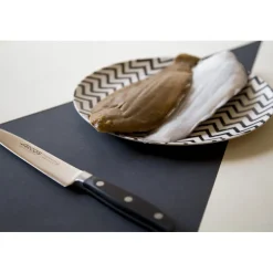 Couteau Filet de Sole Manhattan 170 mm