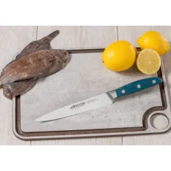 Couteau Filet de Sole Série Brooklyn 170 mm