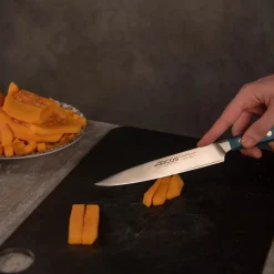 Couteau Filet de Sole Série Brooklyn 170 mm