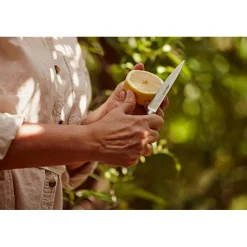 COUTEAU OFFICE SÉRIE CLARA 100 MM